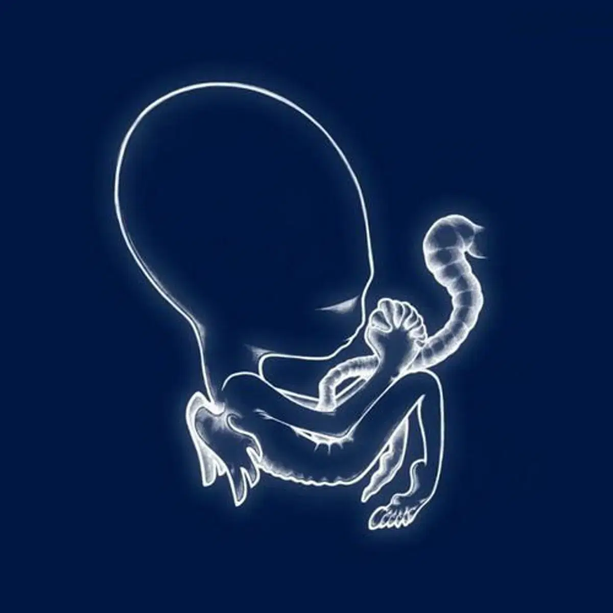 Sigur Ros - Agaetis Byrjun (CD) 일본반 민트급