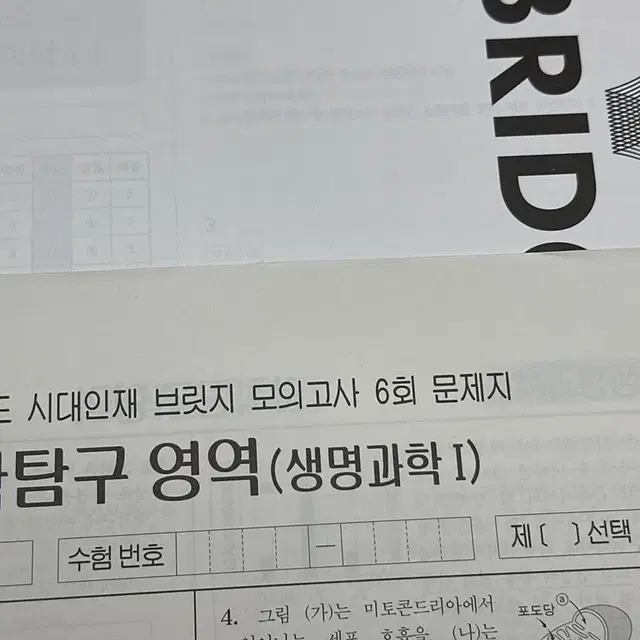 2025 시대인재 브릿지 생명과학1 6회