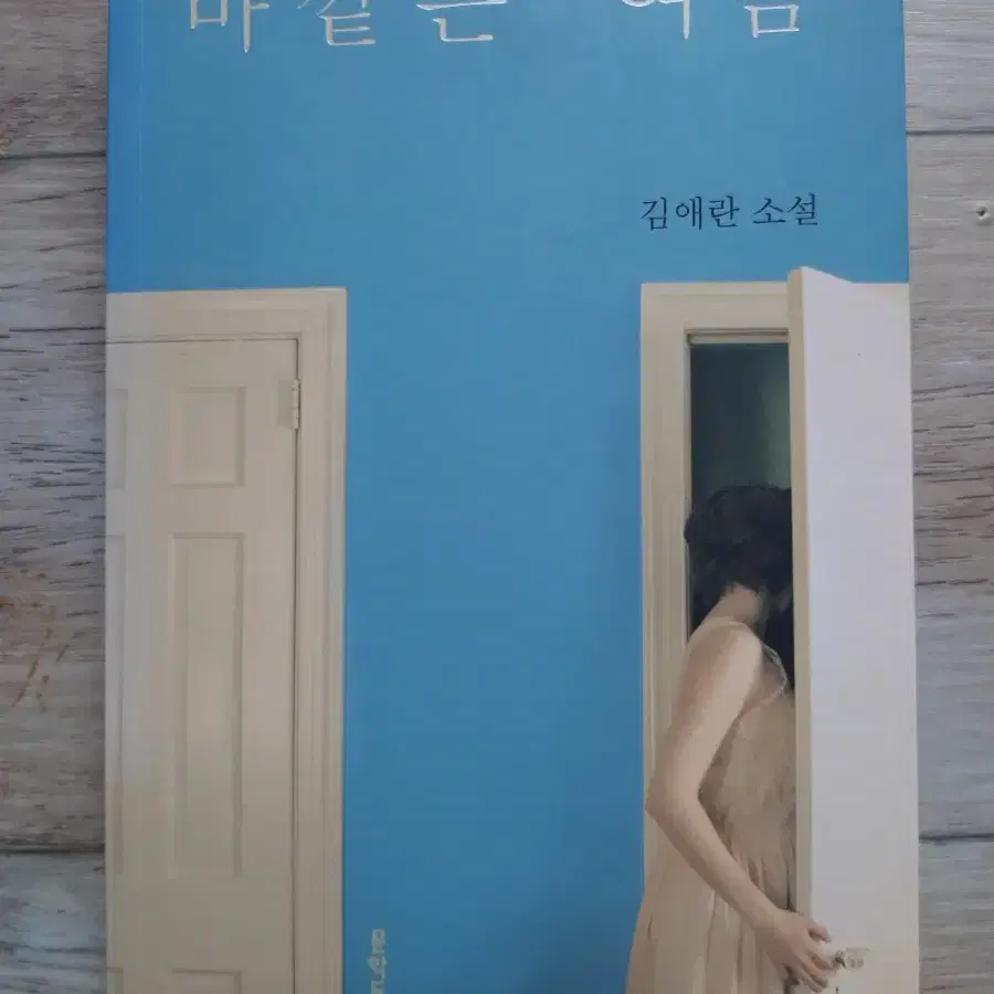 김애란 소설 <바깥은 여름>