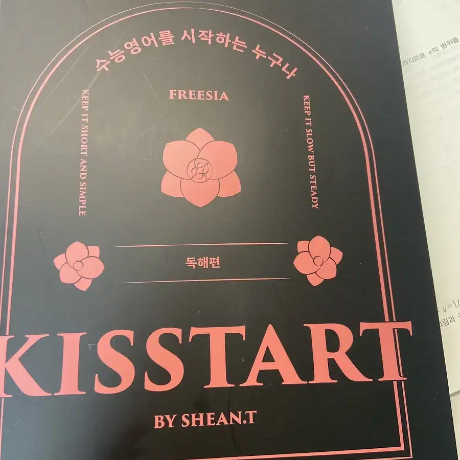 션티 kisstart 판매합니다!