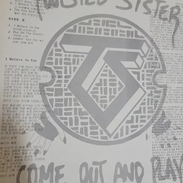 TWISTED SISTER LP 헤비메탈