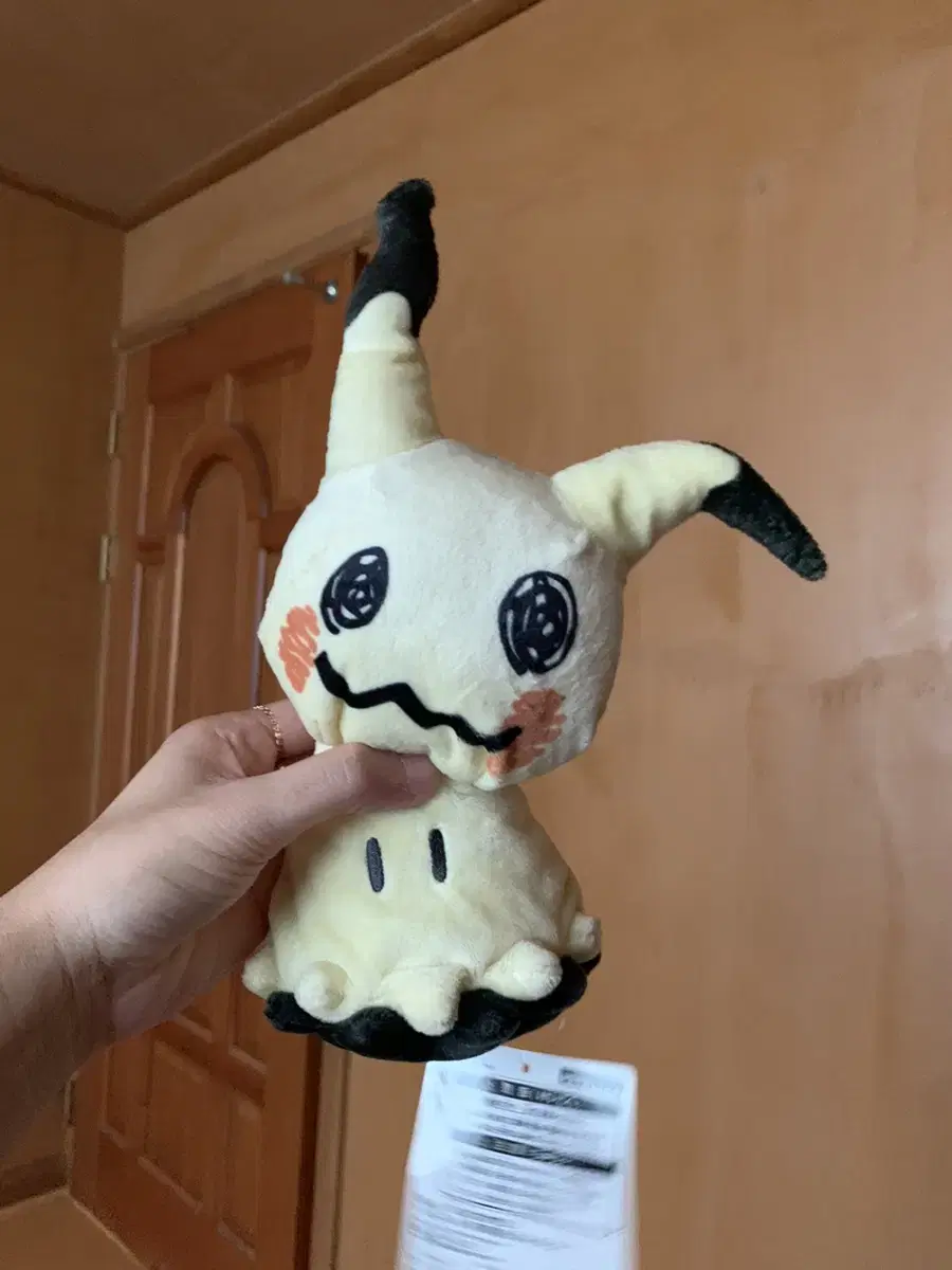 Pokémon Follow Q Doll