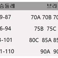 브라탑나시(새상품)