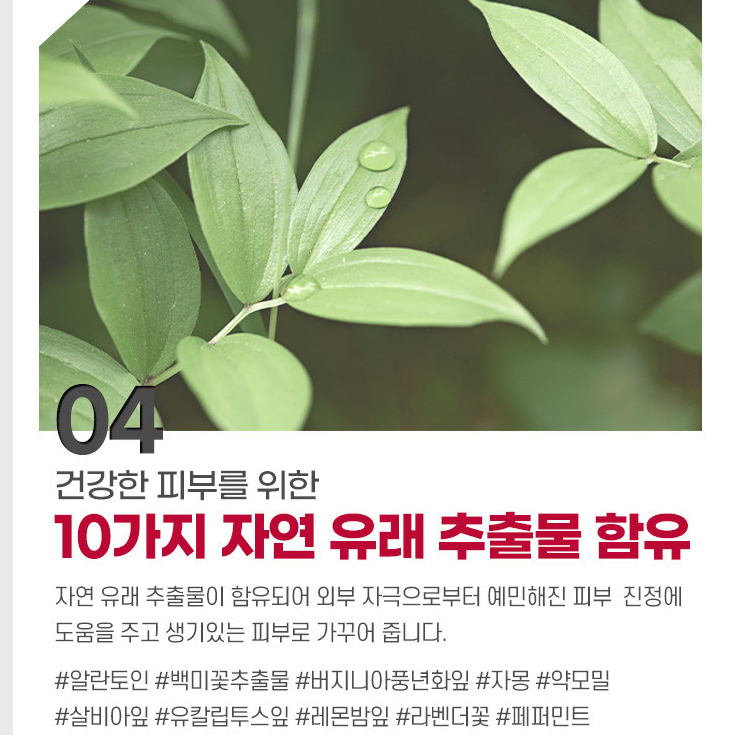 마일드 바디워시 화이트머스크더향 1,077ml 바디샤워 바디클렌저 샤워젤