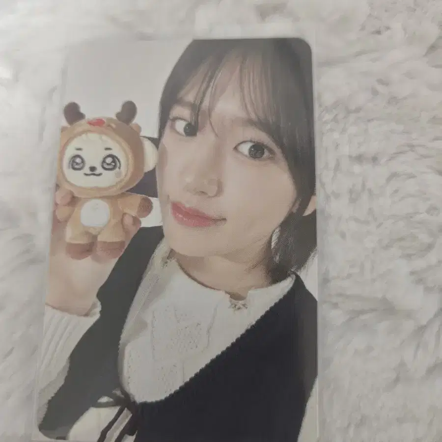 크리스미스 미니브 포카 유진