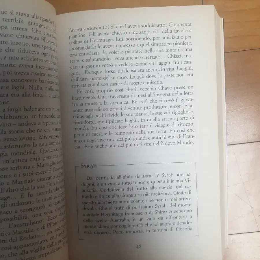 Vinosofia 38 와인에 대한 사랑 선언  와인 책