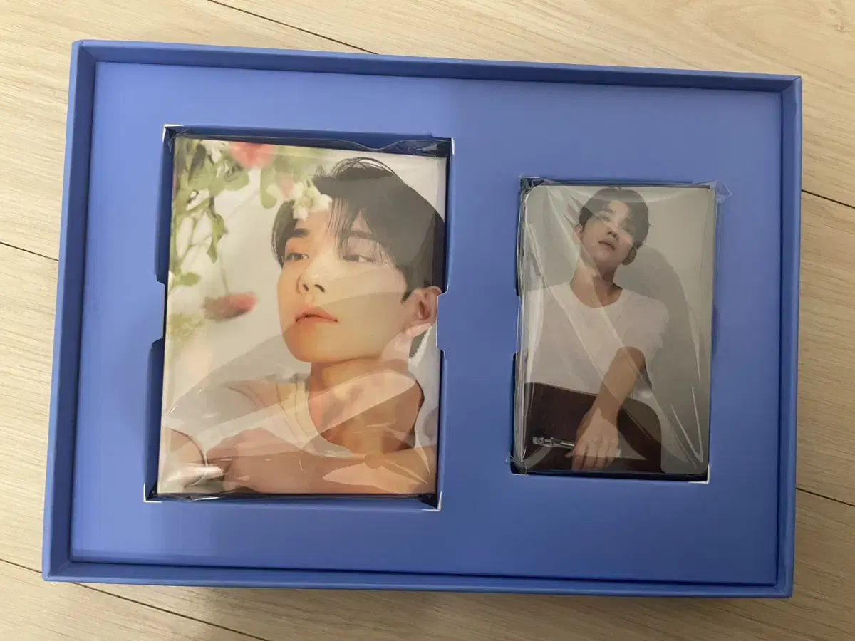 Seventeen Different Carat Vahn Shua Binder + Album