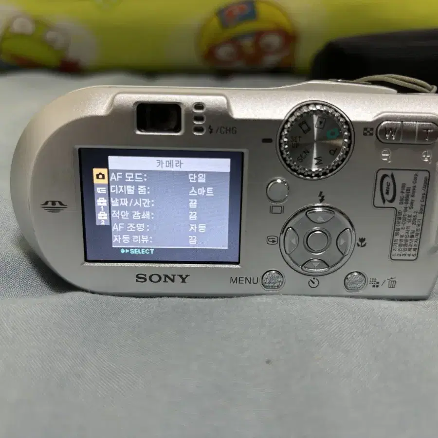 소니 dsc-p100