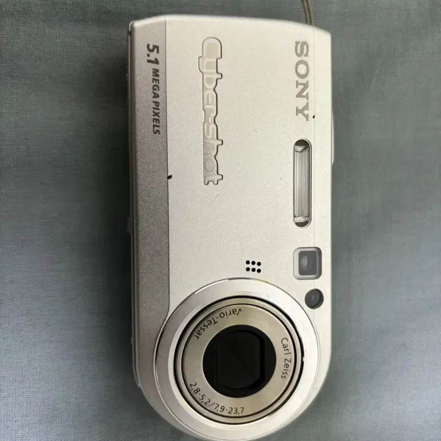 소니 dsc-p100