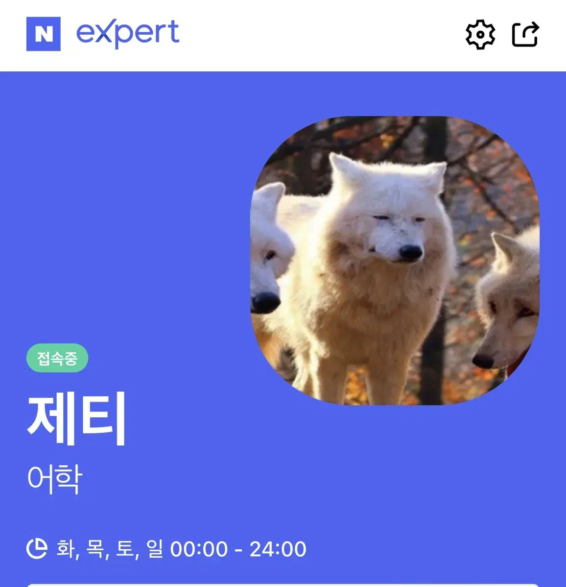 영어 에세이, 모의토익, 영어 과제, 영어 숙제