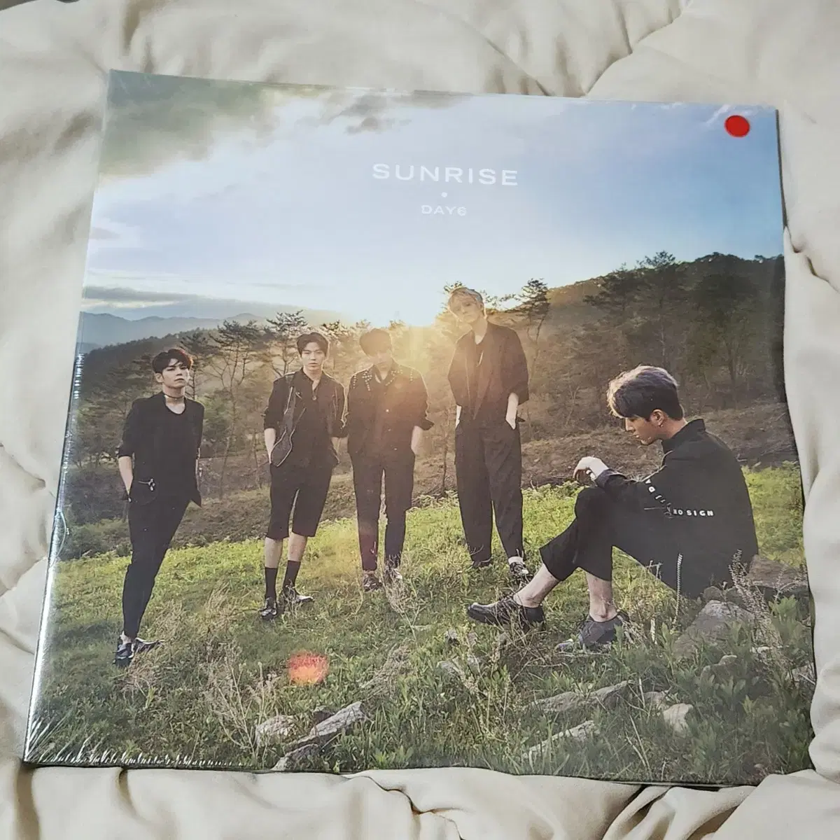 데이식스 DAY6 LP - SUNRISE (핫핑크) 미개봉