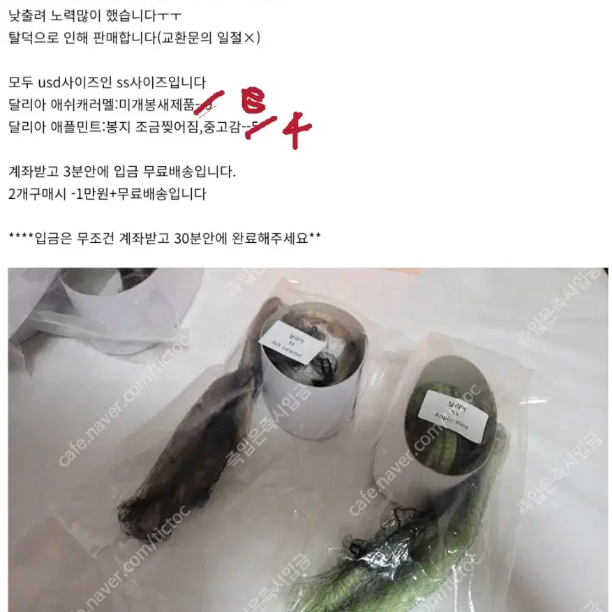 가격내림)블루메 달리아 usd ss 가발 판매