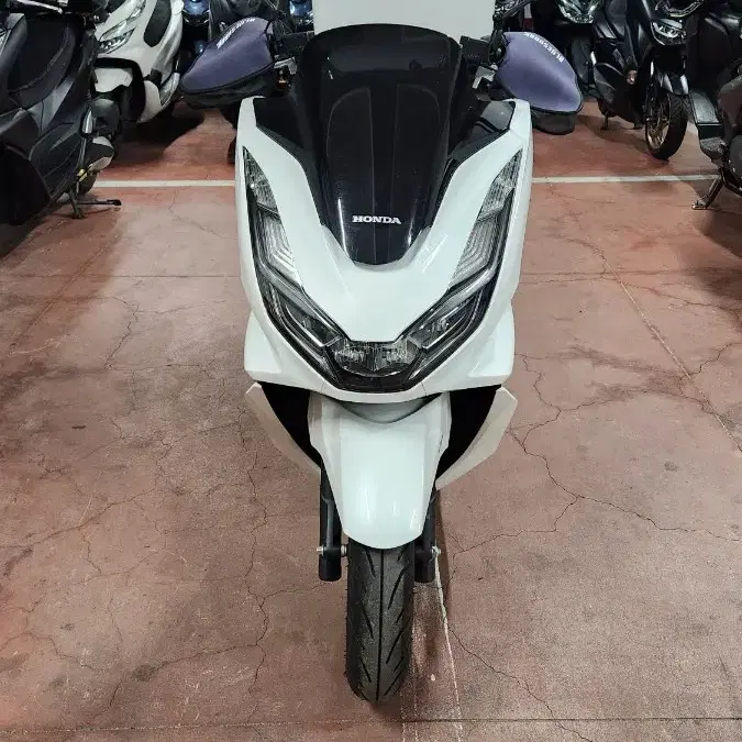 pcx125 바이크 리스