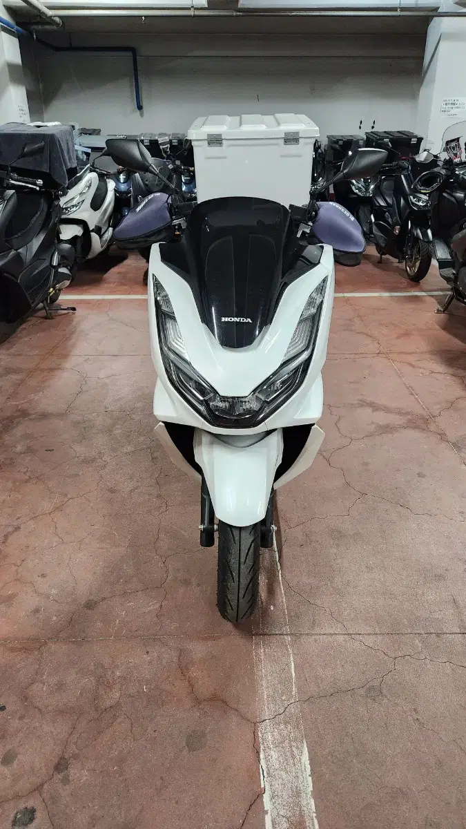 pcx125 바이크 리스