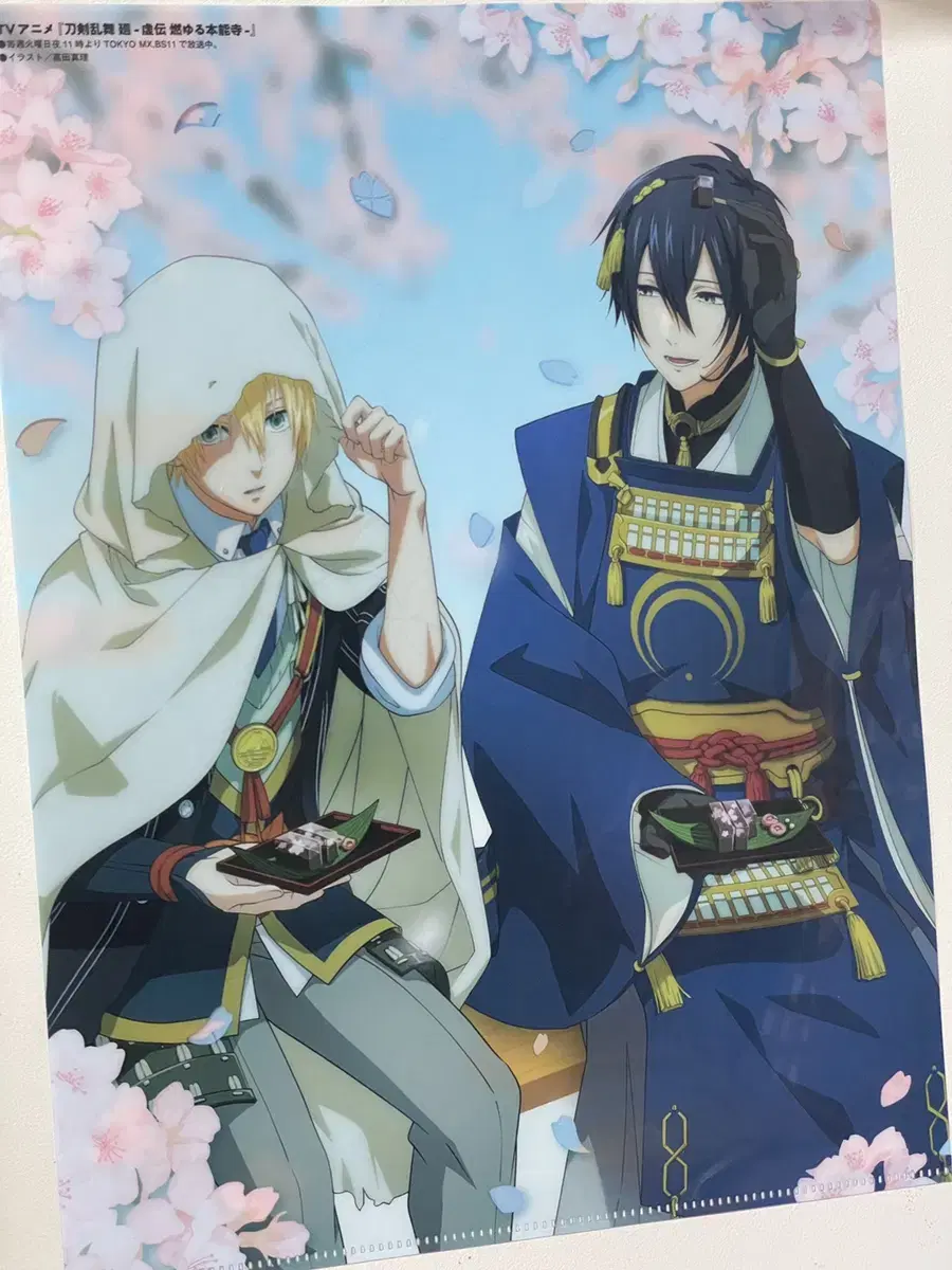 Sword & Sorcery Clearfile Animedia June Issue Addendum