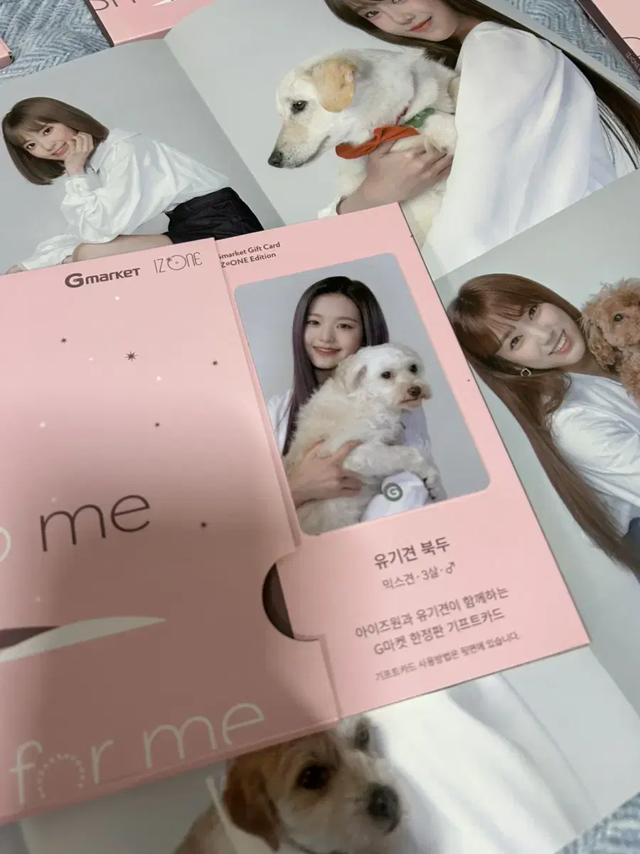 iz*one gmarket stray dogs kard All