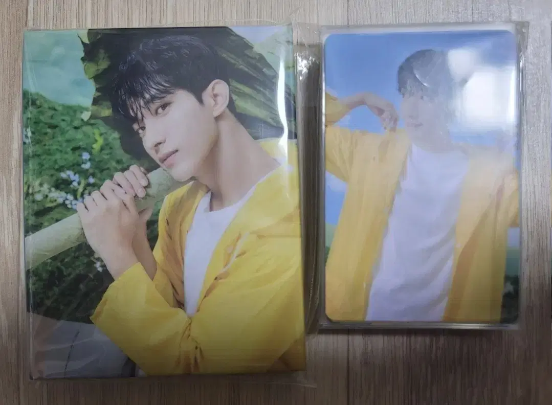 해븐 캐럿반 도겸