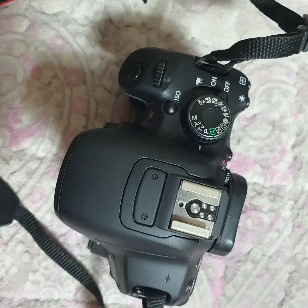 캐논 650d