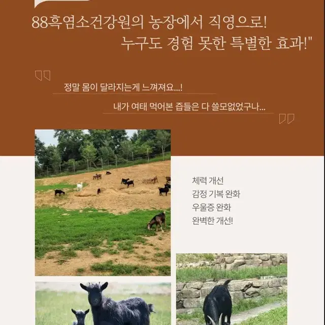 [천안] 진한 흑염소진액  // 주문 및 판매 //