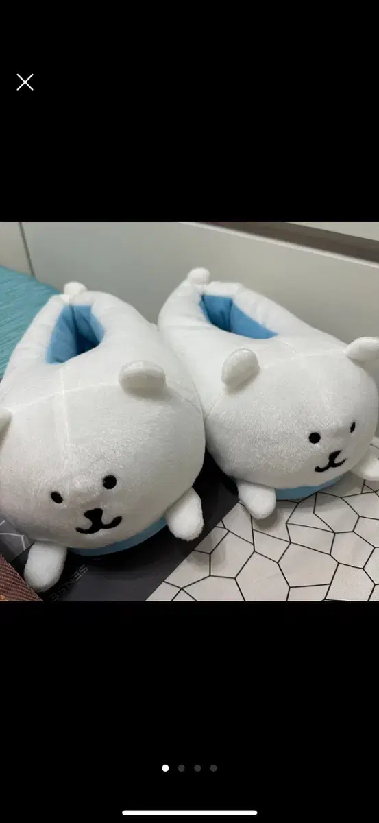 Joke Bear Slippers