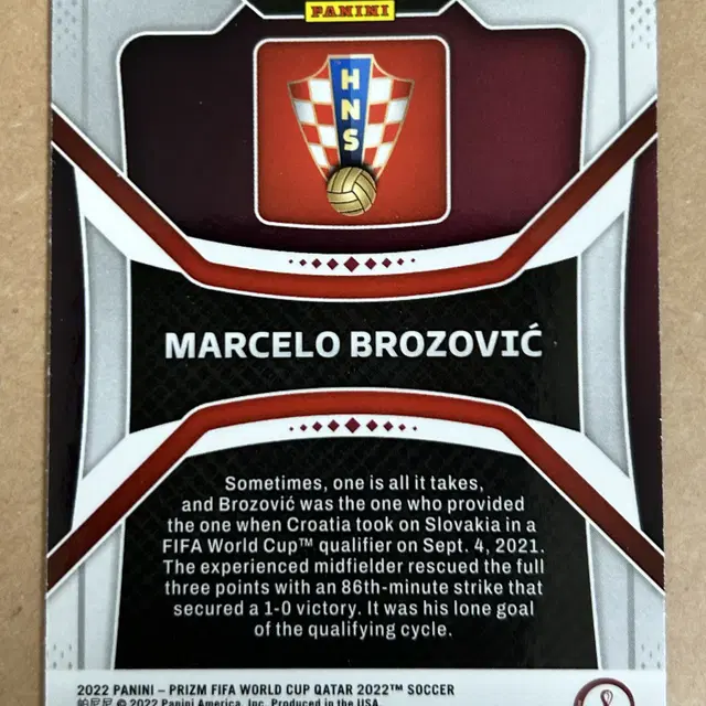 2022 파니니 월드컵 브로조비치 Marcelo Brozovic 그린