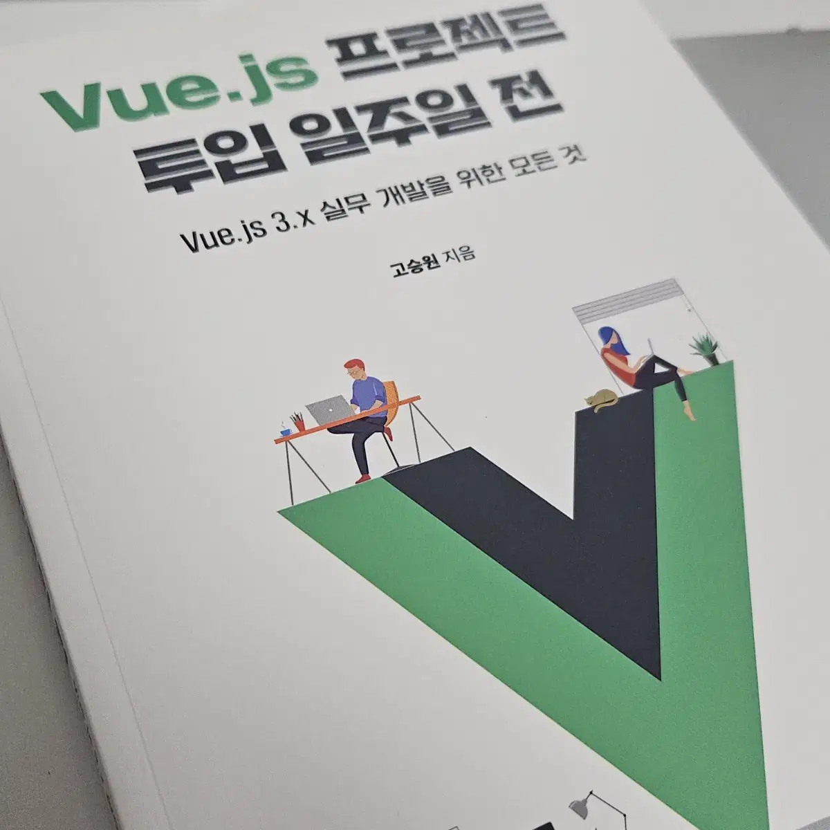 vue.js 프로젝트 투입 일주일 전 책 교재