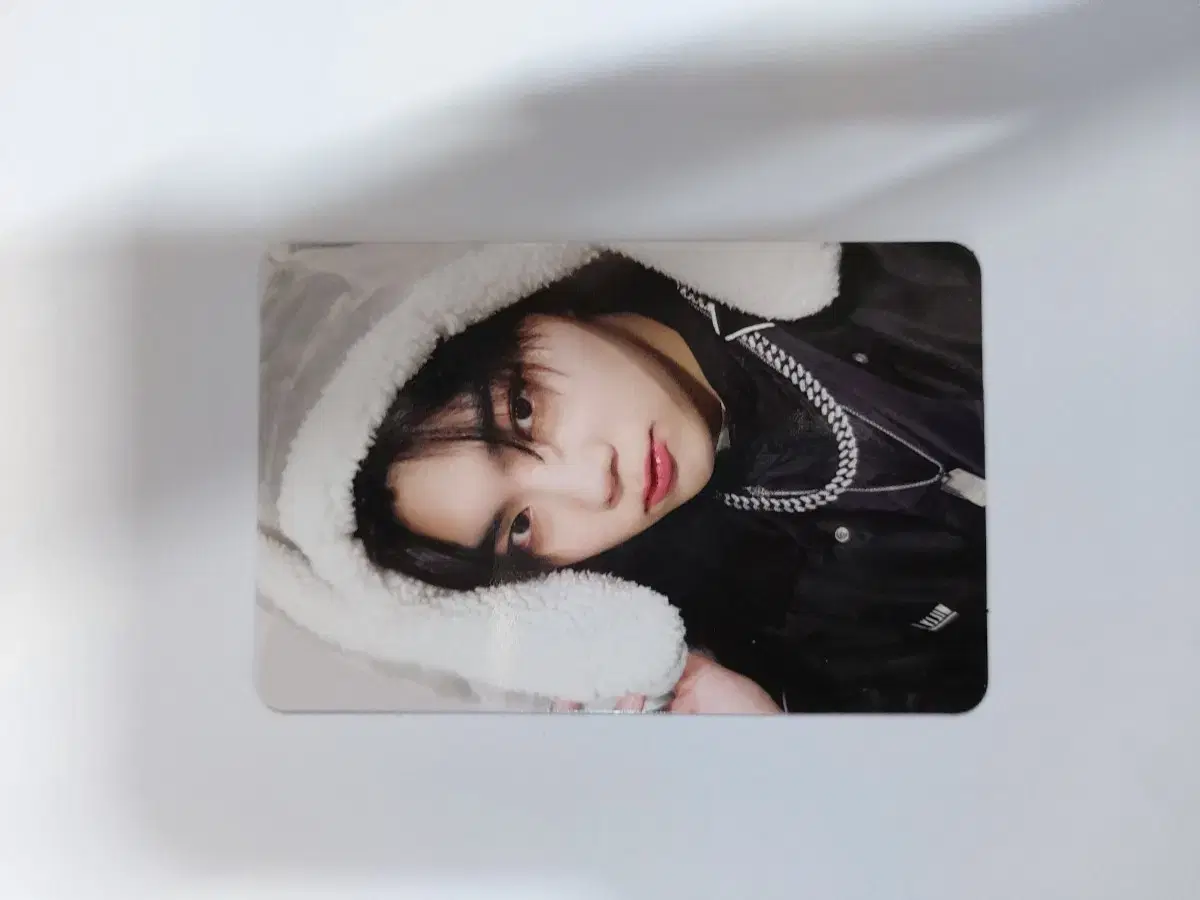 Park Gunwook Rabbit BlanketPhotocard