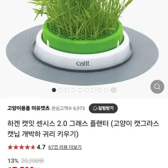 고양이 캣글라스 캣닢 귀리 키우기 화분 (하겐 캣잇 그래스 플랜터)