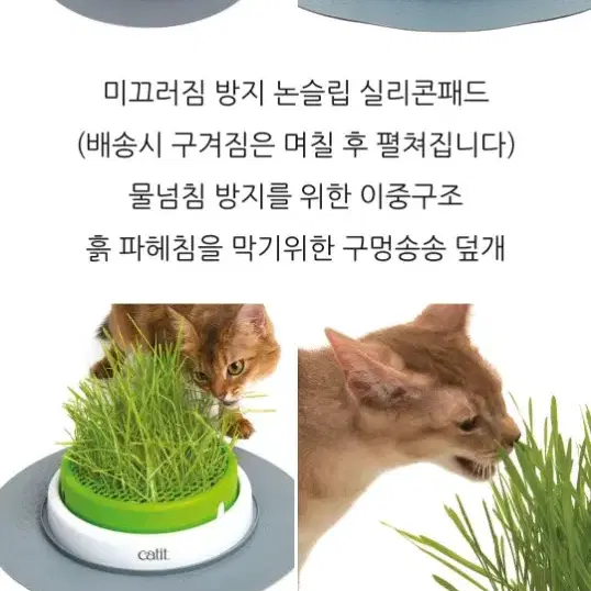 고양이 캣글라스 캣닢 귀리 키우기 화분 (하겐 캣잇 그래스 플랜터)