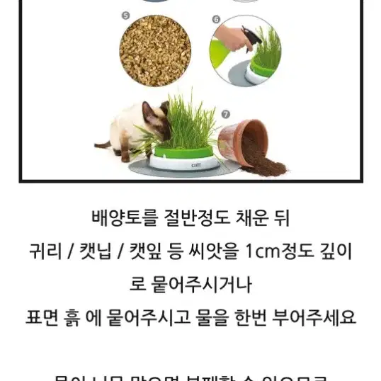 고양이 캣글라스 캣닢 귀리 키우기 화분 (하겐 캣잇 그래스 플랜터)