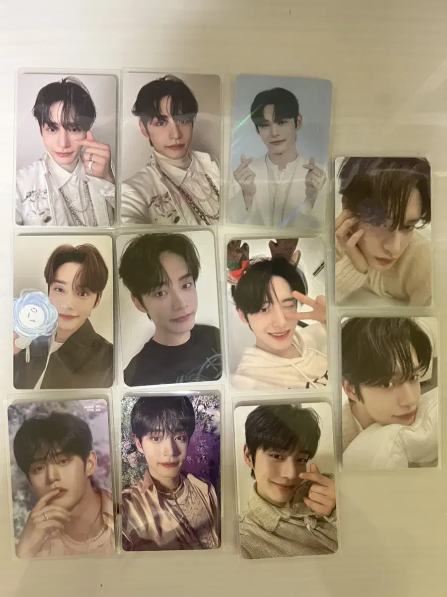 ZB1 kim jiwoong photocard bulk Sell