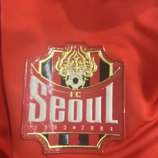 급처) Fc 서울 트레이닝복