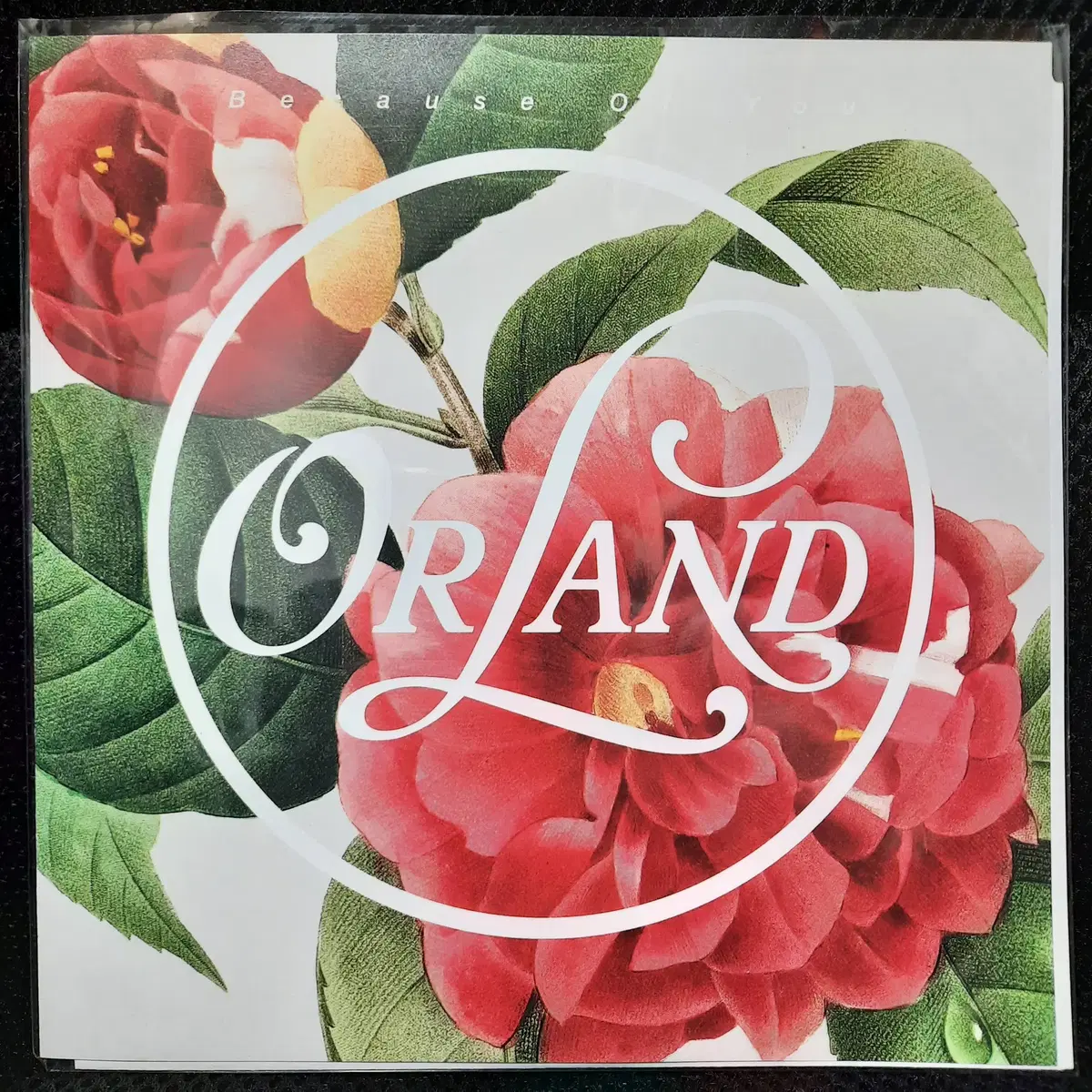 Orland Because Of You 7인치 EP 미개봉 신품