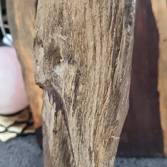 규화목(리비아 규화목,Libya silicified wood) 나무화석