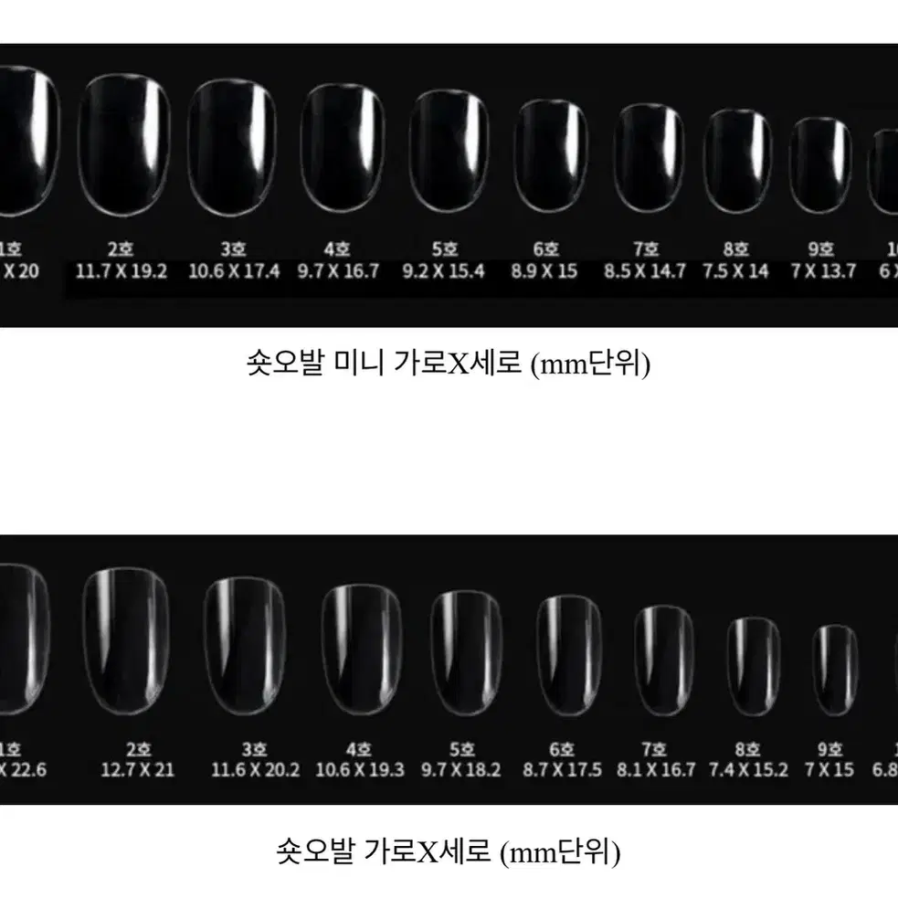 럭키 퍼피 네일팁