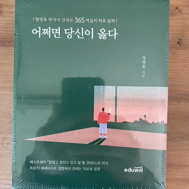 어쩌면 당신이 옳다 - 정영욱