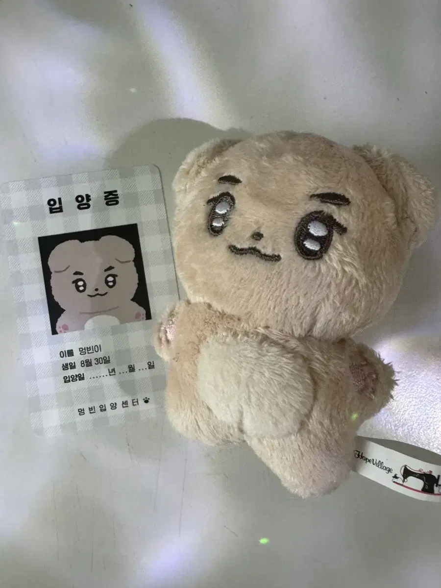 Zerobaseone kim gyuvin doll Mengbin is for sale!