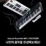 Arturia KeyLab 애센셜 61 미디,마스터 키보드 전국배송가능