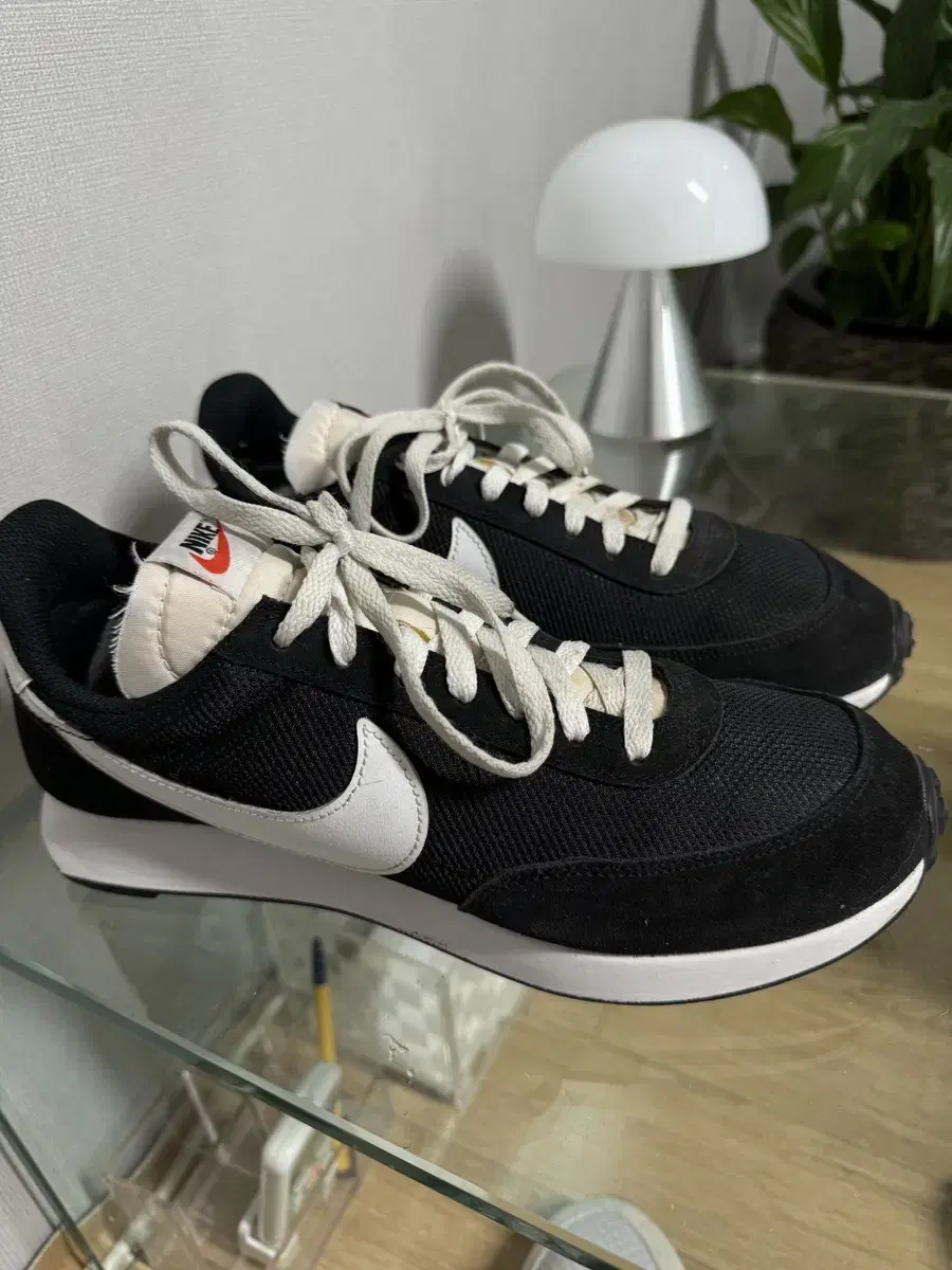 Nike Taeil Wind 79 Black 270