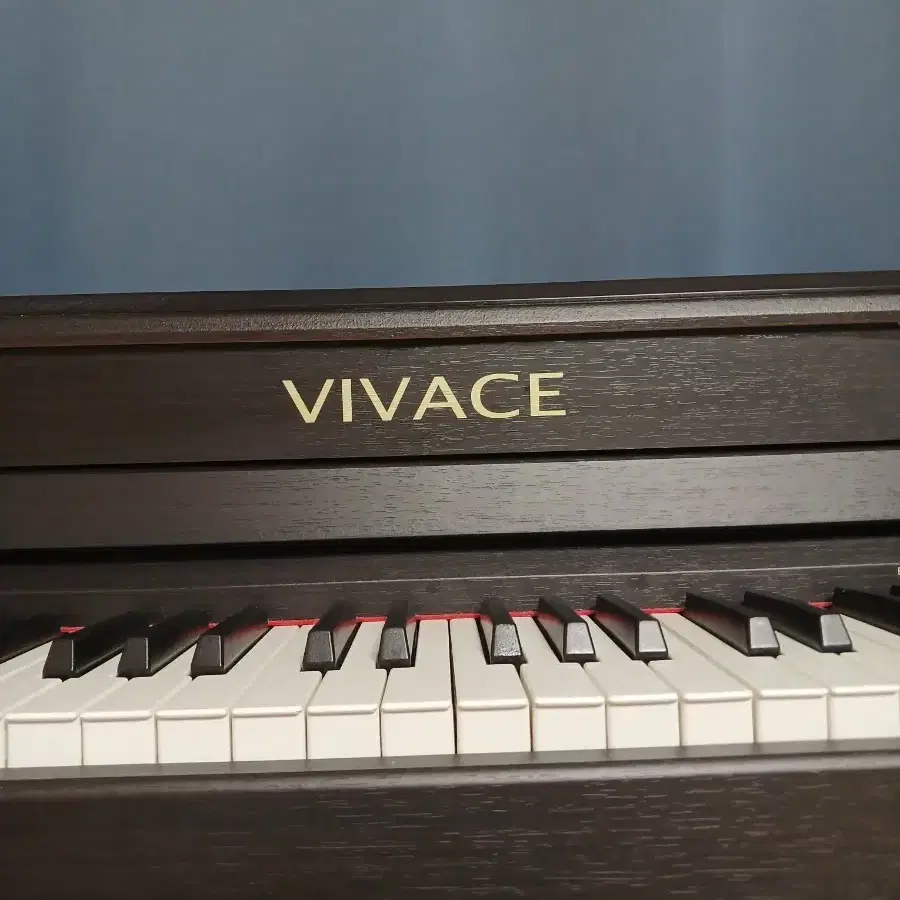 VIVACE 전자피아노