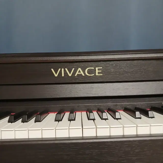 VIVACE 전자피아노