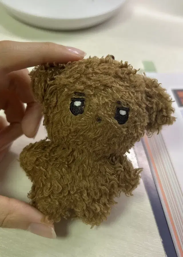 더보이즈 선우 10cm 인형 썬꼬미