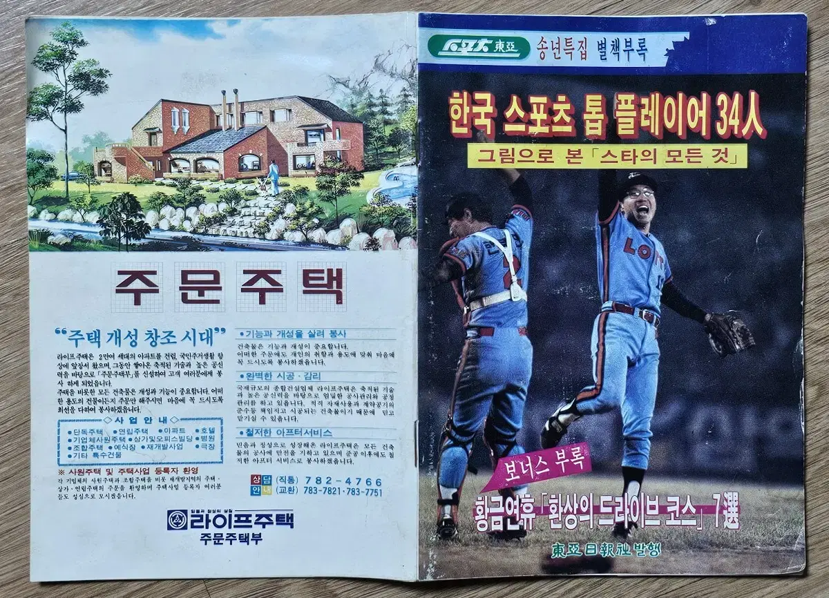 한국 스포츠 톱 플레이어 34인 신상명세 책자