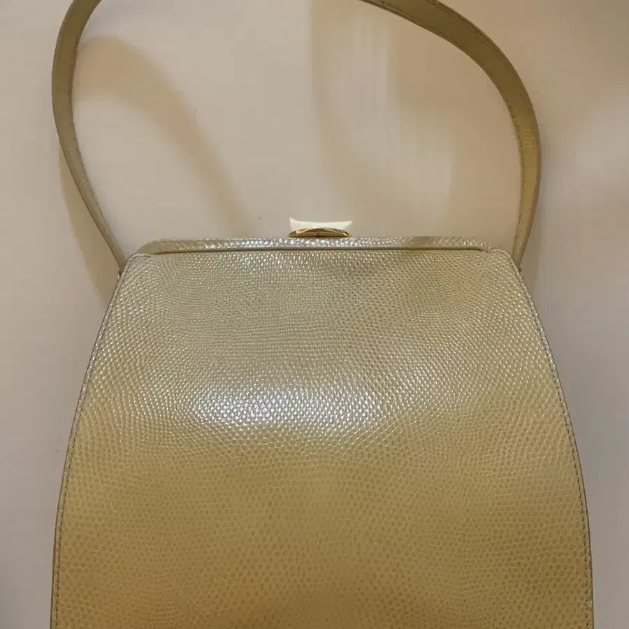 Urbanic30 Brass Clasp Bag (Lizard)  150,