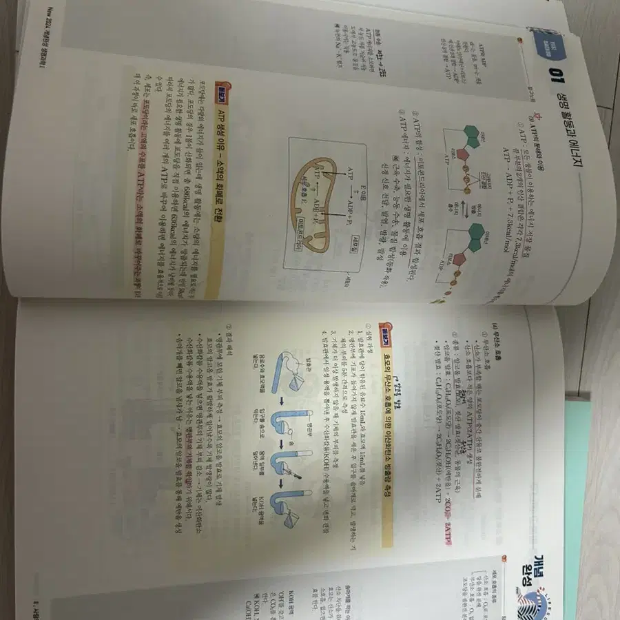 2024 백호 생명과학 (개념완성 + 개념완성 문제편)