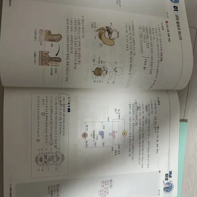 2024 백호 생명과학 (개념완성 + 개념완성 문제편)