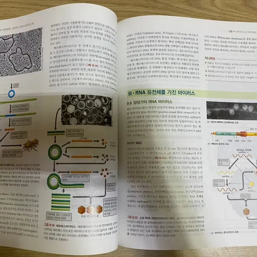 새책) 브록의 미생물학 14판