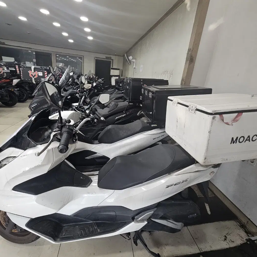 pcx 21년식 흰색 13번