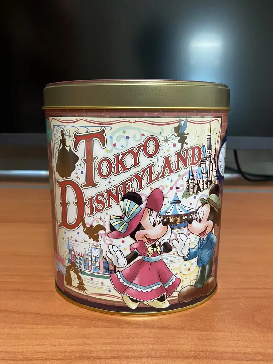 Tokyo Disneyland Tin Case