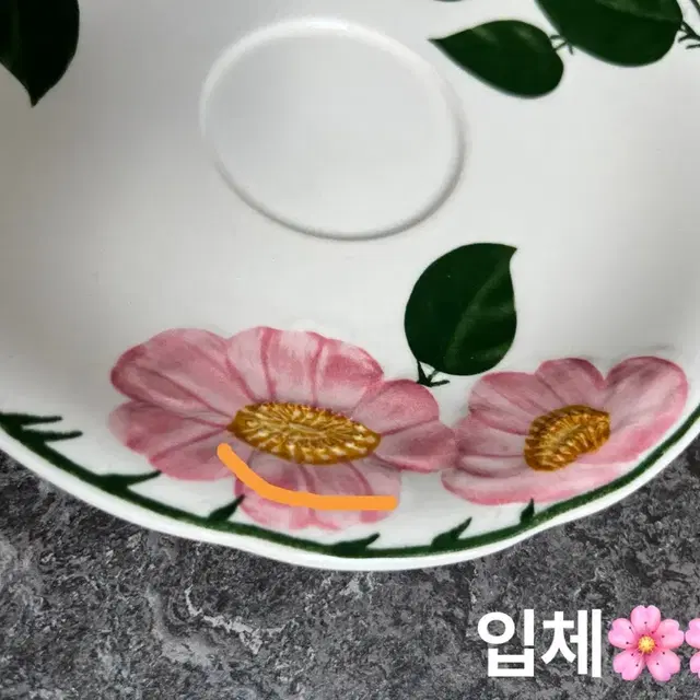 16.3cm/독일 빈티지 빌레로이앤보흐 와일드로즈 접시